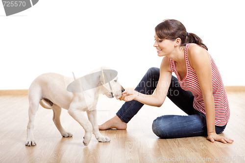 Image of Playing with a puppy