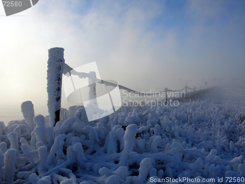 Image of winter