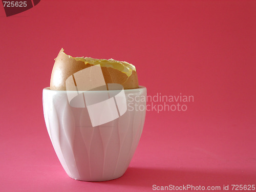 Image of egg