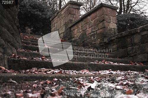 Image of Stairs - The way up