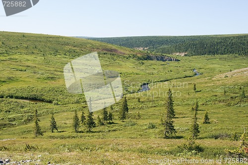 Image of Green northern valley