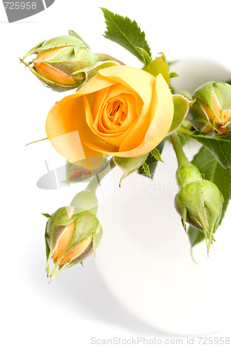 Image of yellow flowers bouquet