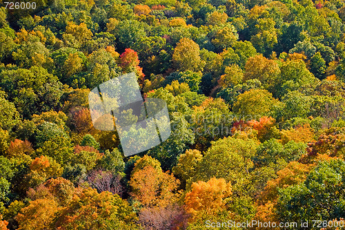 Image of New England Fall Foliage