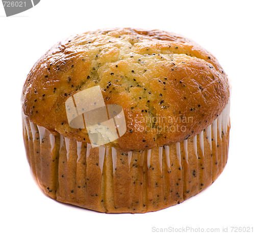 Image of Carrot Muffin