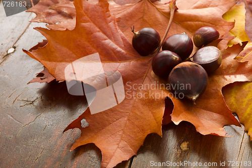 Image of Autumn Leaves and Chestnuts