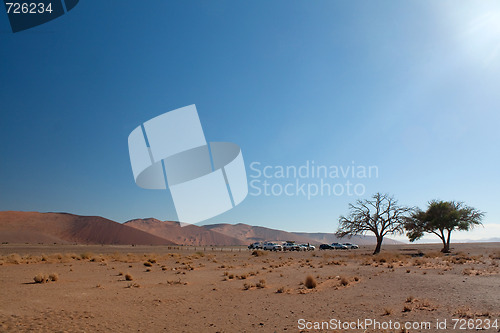 Image of red dunes of sossusvlei