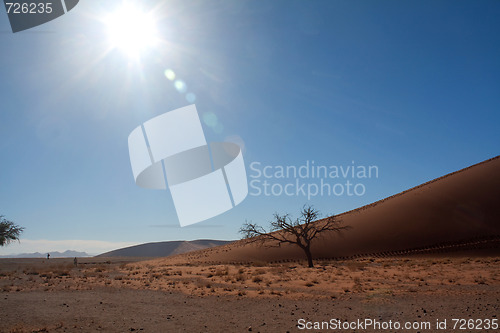 Image of red dunes of sossusvlei