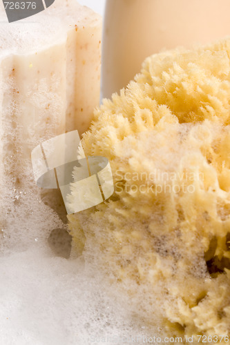 Image of soap, natural sponge and foam