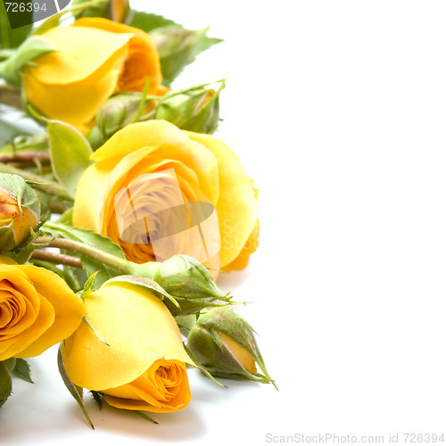 Image of yellow flowers