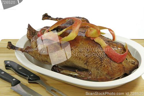 Image of Fried goose