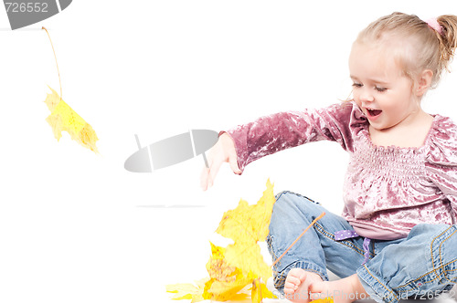 Image of Toddler with maple leaves