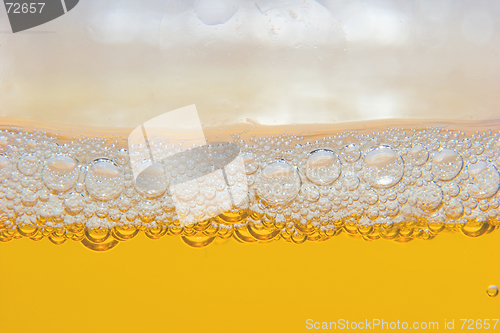 Image of Beer in a glass