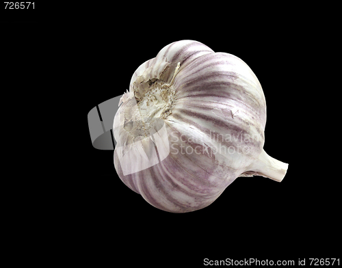 Image of garlic