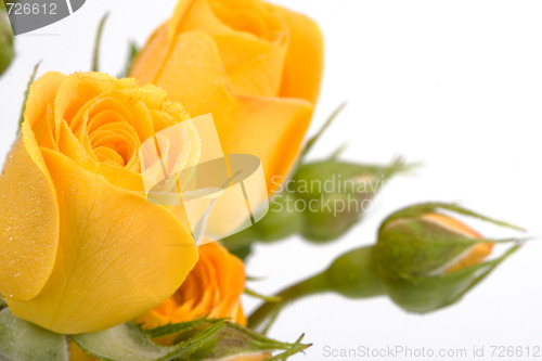 Image of yellow flowers