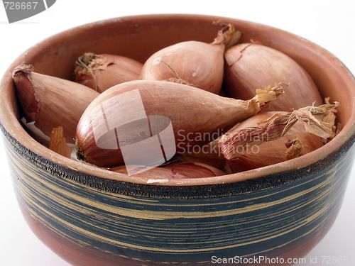 Image of onions