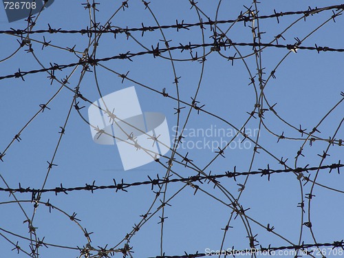 Image of Barbed Wires