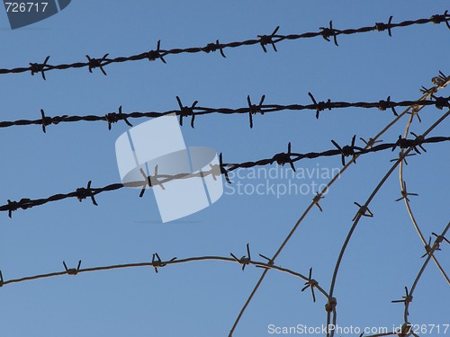 Image of Barbed Wires