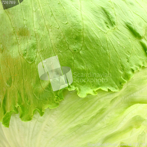 Image of Salad