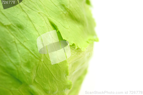 Image of Salad