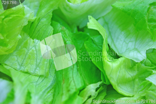 Image of Salad