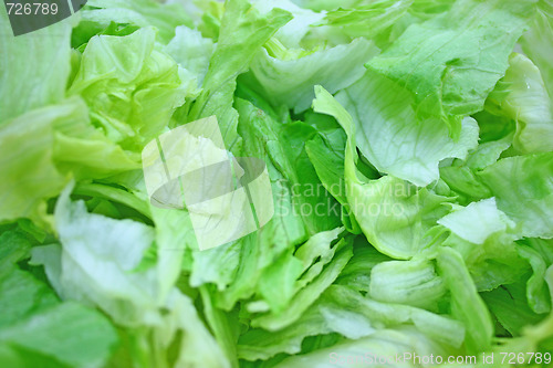 Image of Salad