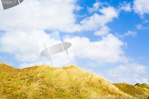 Image of Dunes