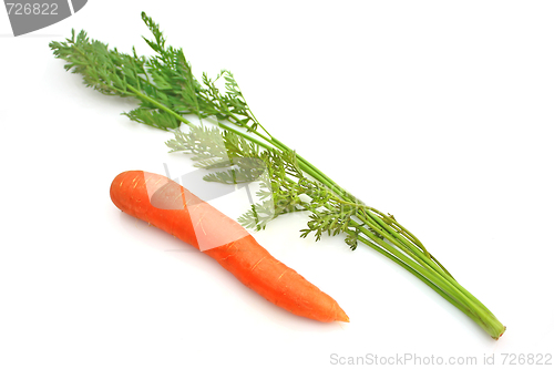 Image of Carrots