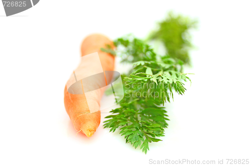 Image of Carrots