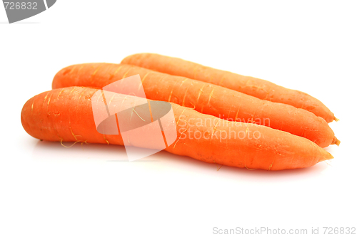 Image of Carrots