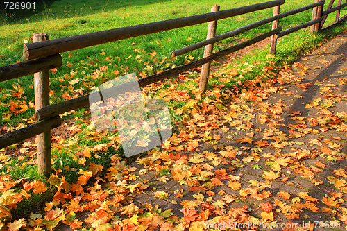 Image of Autumn