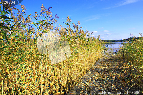 Image of Sweden