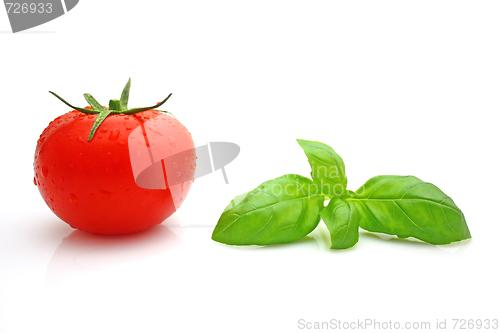 Image of Tomato basil