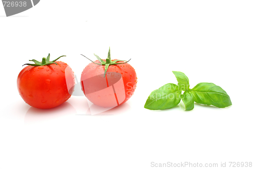 Image of Tomato basil