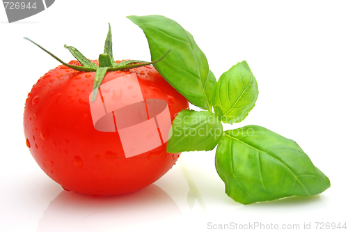 Image of Tomato basil