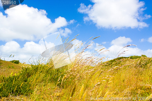 Image of Dunes