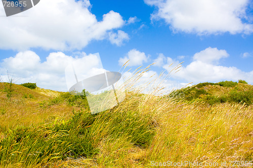 Image of Dunes