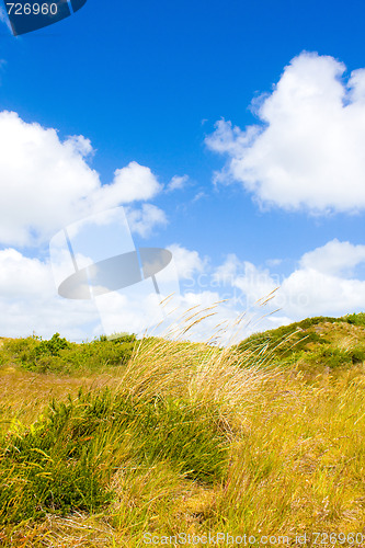 Image of Dunes