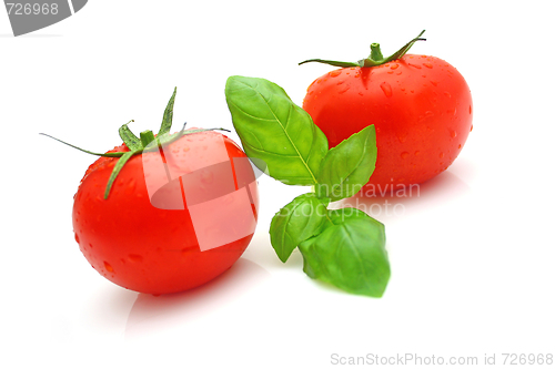 Image of Tomato basil