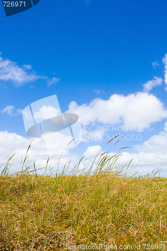 Image of Dunes