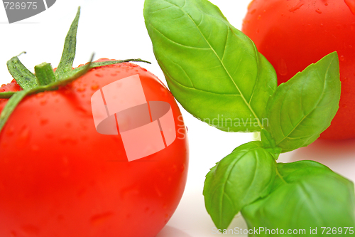 Image of Tomato basil