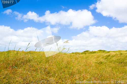 Image of Dunes