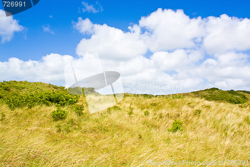 Image of Dunes