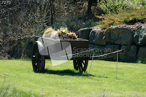 Image of Horse vehicle_07.05.2005