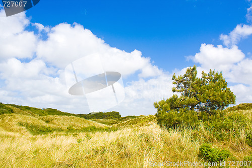 Image of Dunes