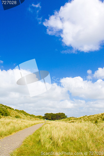 Image of Dunes