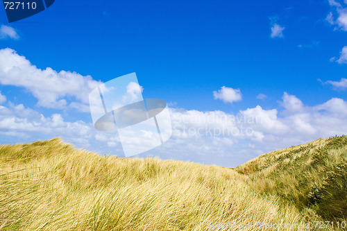 Image of Dunes