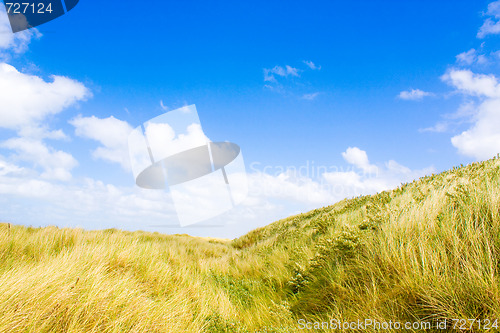 Image of Dunes