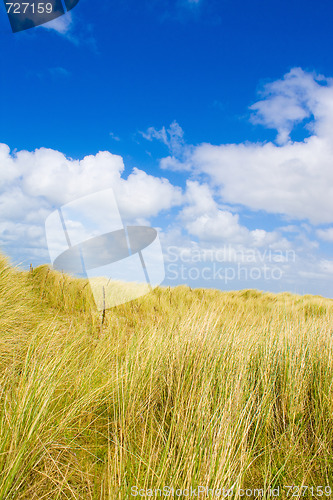 Image of Dunes