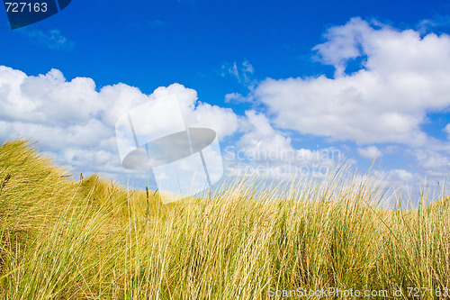 Image of Dunes