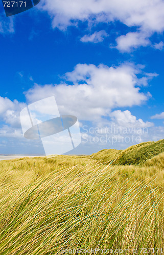 Image of Dunes